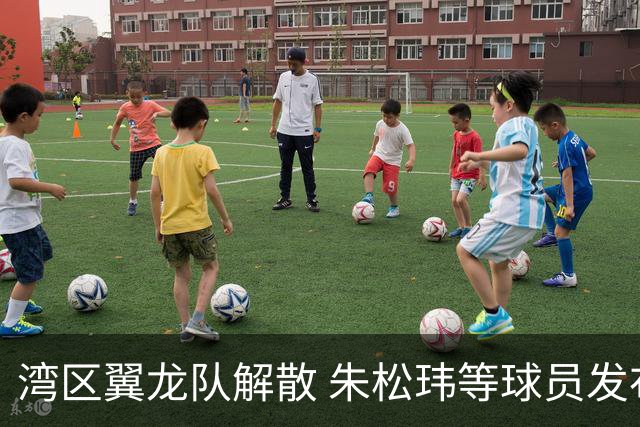 湾区翼龙队解散 朱松玮等球员发布声明维权